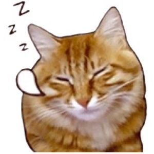 Meet your Posher, Fern